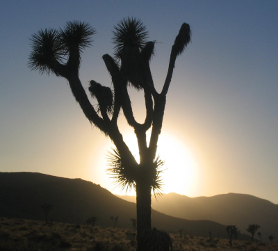 The profile picture for Tom Finkenbinder